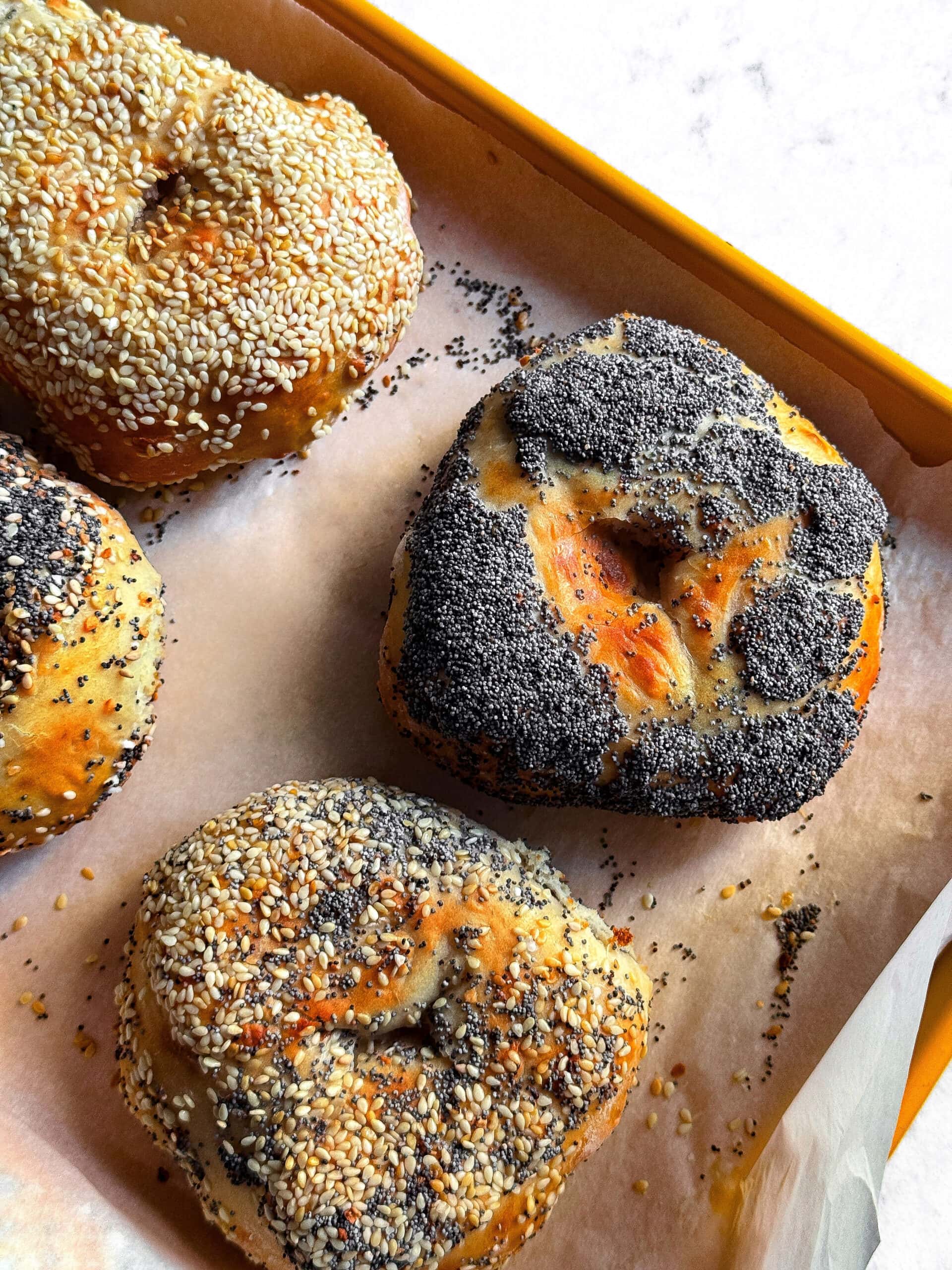 coverphoto cottagecheesebagels
